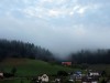 O 2013_Schwarzwald 4